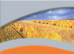 Enitec Solar